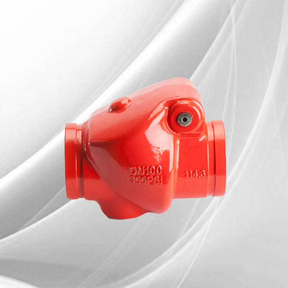 Grooved_End_Check_Valves