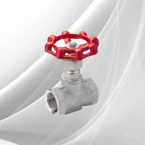 Stainless_Steel_Threaded_Gate_Va