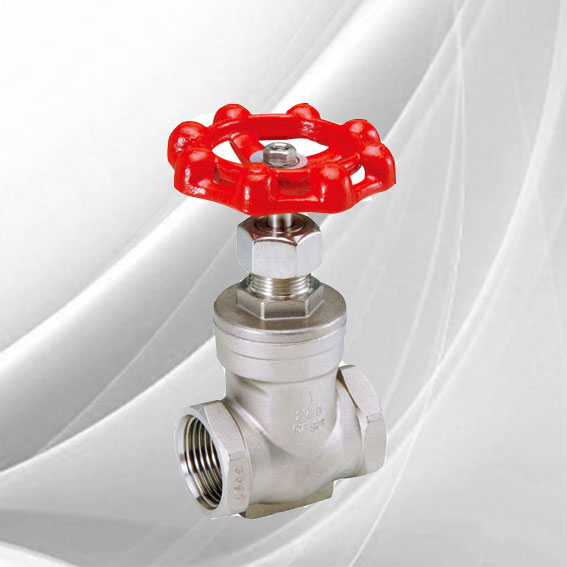 Stainless_Steel_Threaded_Gate_Va